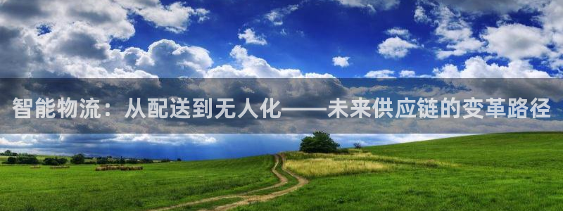 豪门国际网站怎么注册：智能物流：从配