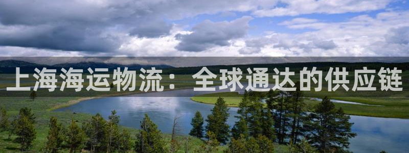 豪门国际注册二维码：上海海运物流：全