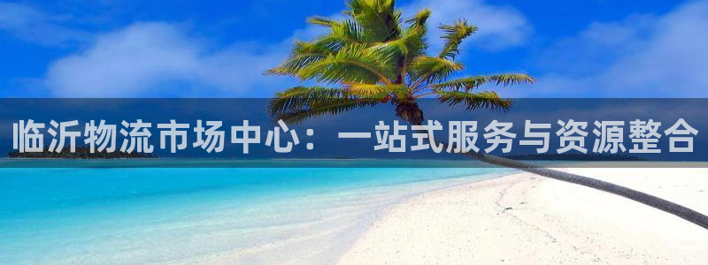 豪门国际加拿大最新版：临沂物流市场中