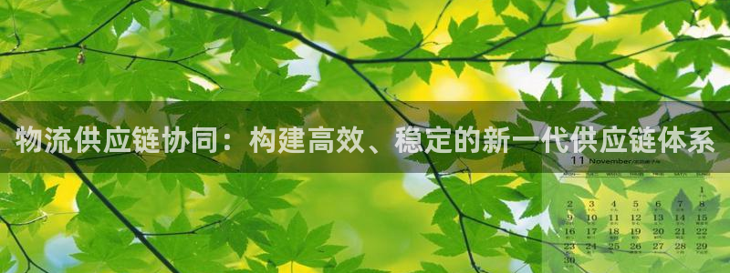 豪门国际注册送：物流供应链协同：构建