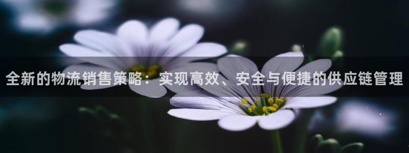 豪门国际充值不到账：全新的物流销售策