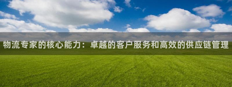 豪门国际官方：物流专家的核心能力：卓越的客户服务和高效的供应