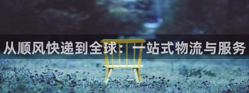 豪门国际二维码：从顺风快递到全球：一