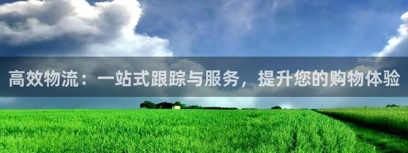 豪门国际登录用户名登录不上：高效物流