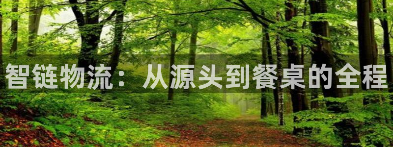 豪门国际官网注册：智链物流：从源头到