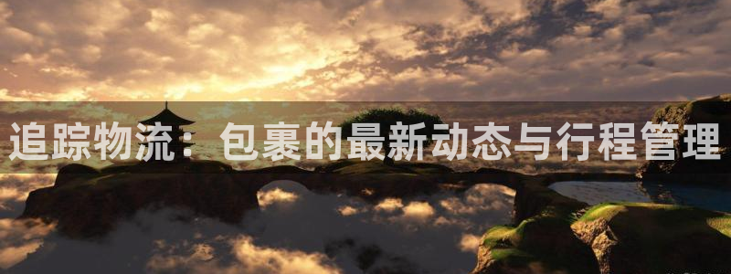 豪门国际加拿大下载：追踪物流：包裹的最新动态与行程管理