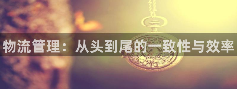 豪门国际电子游戏：物流管理：从头到尾的一致性与效率