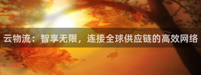 自行车豪门国际是什么意思：云物流：智享无限，连接全球供应链的