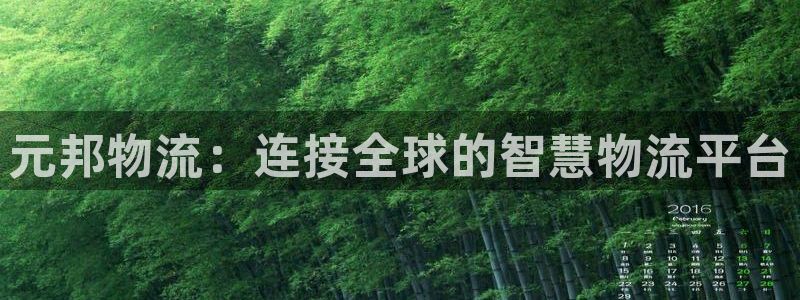 豪门国际加拿大模拟器：元邦物流：连接