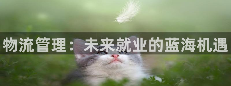 豪门国际官方官网：物流管理：未来就业