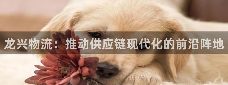 豪门国际违法吗
