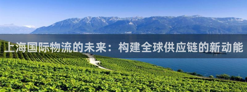 豪门国际充值不处理：上海国际物流的未