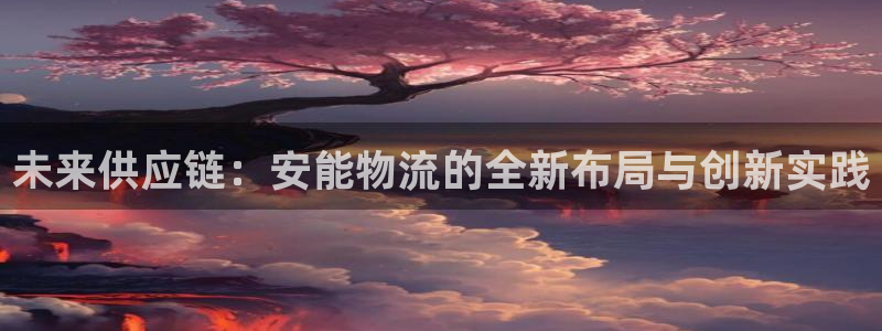 豪门国际技巧：未来供应链：安能物流的