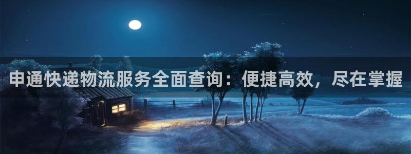 豪门国际的平台：申通快递物流服务全面