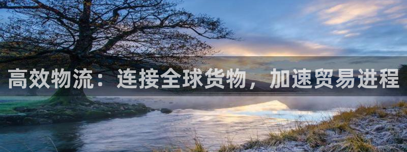 豪门国际麻将胡了：高效物流：连接全球