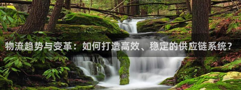 豪门国际分分28预测：物流趋势与变革：如何打造高效、稳定的供